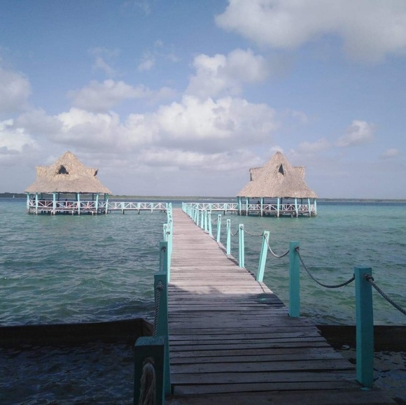 Meet your Posher, Jess - Picture 1 of 1